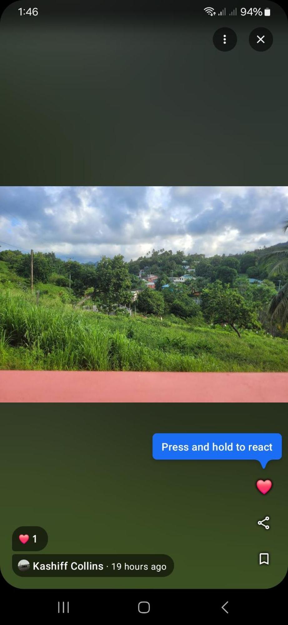 Natrue'S Haven Bed & Breakfast Marigot Eksteriør bilde